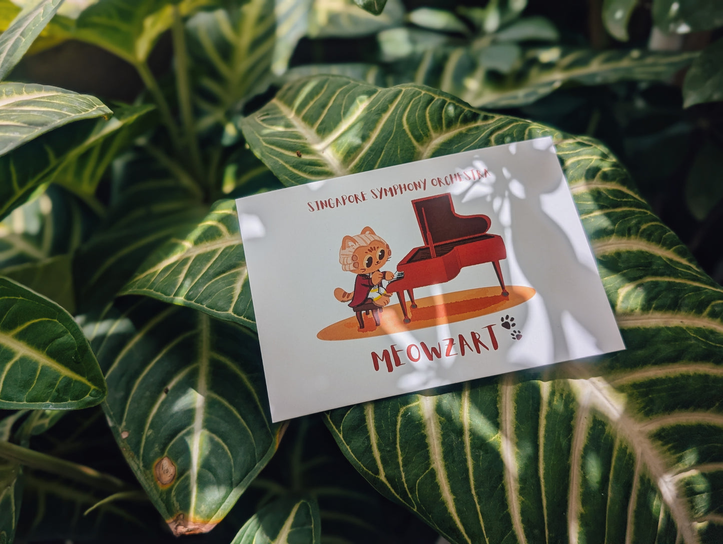 Meowzart Postcard