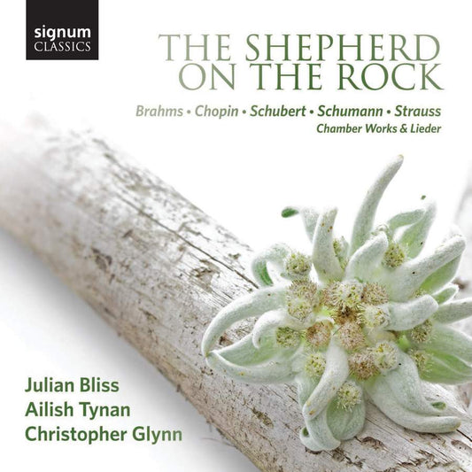 The Shepherd on the Rock - Julian Bliss