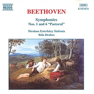 BEETHOVEN: Symphonies Nos. 1 and 6 (Nicolaus Esterházy Sinfonia, Drahos)