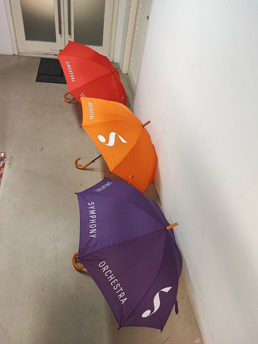 SSO Umbrella
