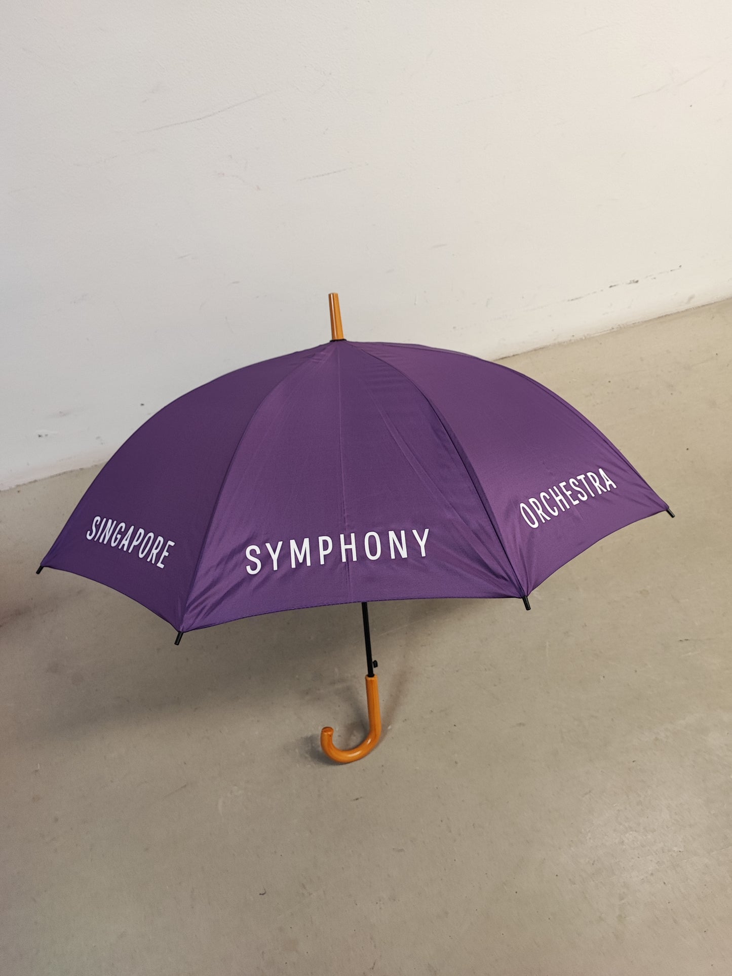 SSO Umbrella