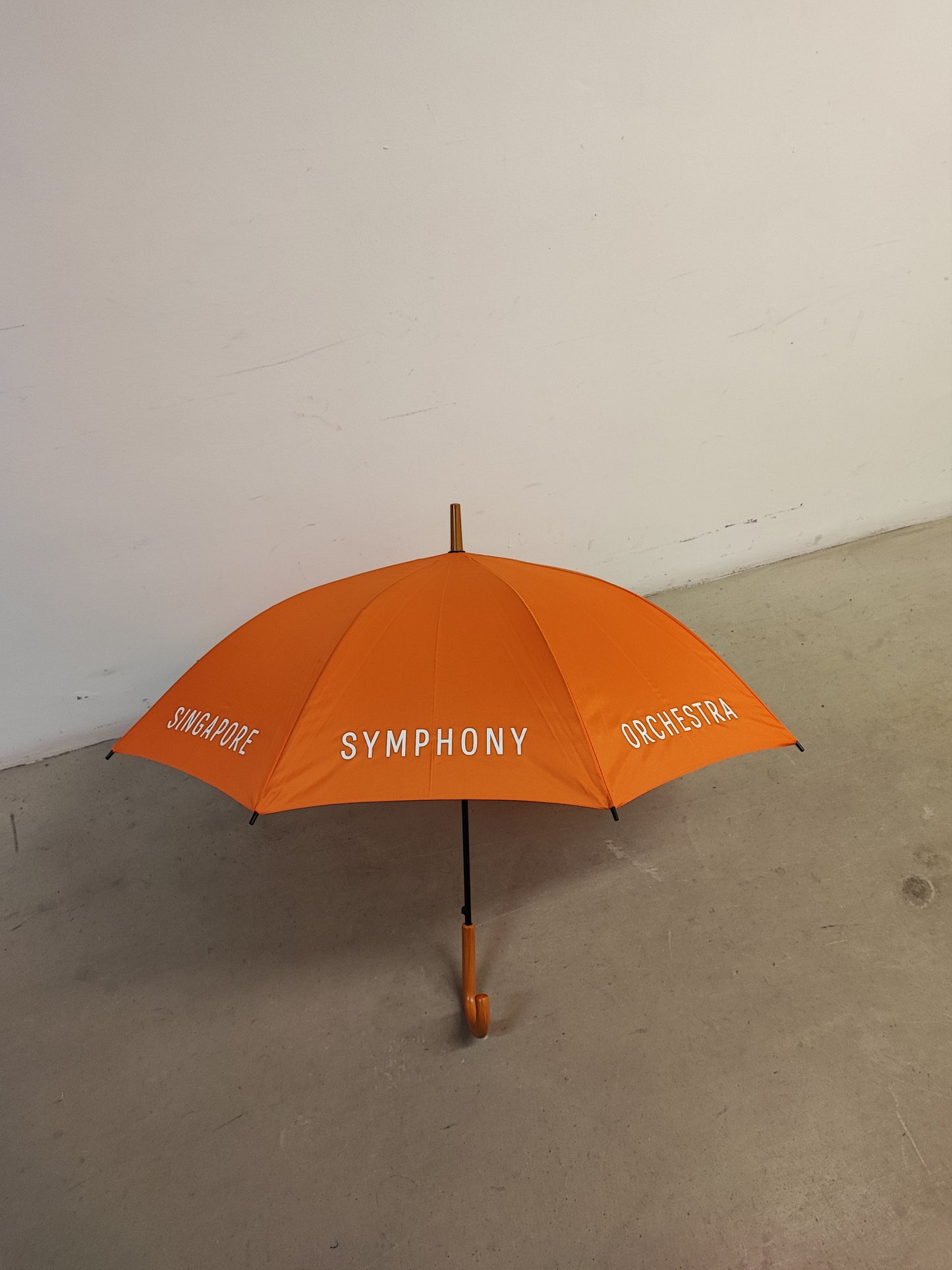 SSO Umbrella